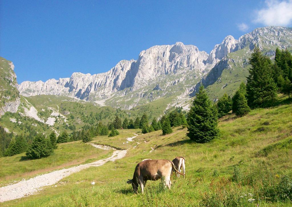 Eurohotel Mountain Wellness Castione della Presolana Exteriér fotografie